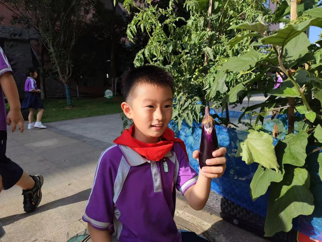 校园活动 | 永州市映山小学:“蔬”香漫校园,实践促成长 第27张 校园活动 | 永州市映山小学:“蔬”香漫校园,实践促成长 第27张