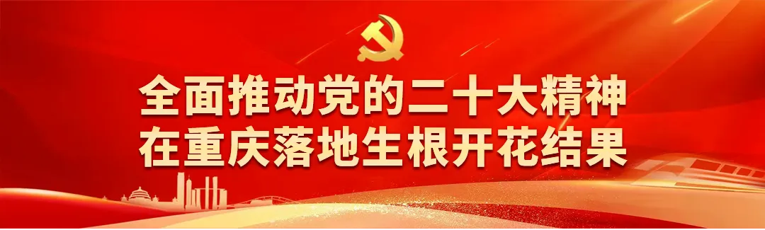 优秀!铜梁区立心小学男子篮球队斩获重庆市2024年小学生篮球比赛男子组亚军 第1张 优秀!铜梁区立心小学男子篮球队斩获重庆市2024年小学生篮球比赛男子组亚军 第1张