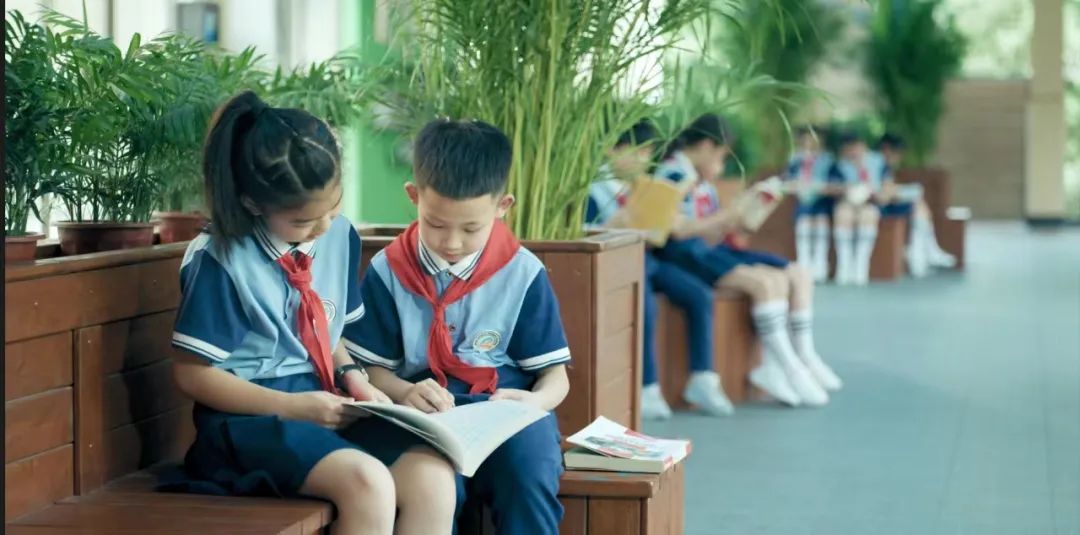 2024年行知小学一年级新生招生公告 第10张 2024年行知小学一年级新生招生公告 第10张