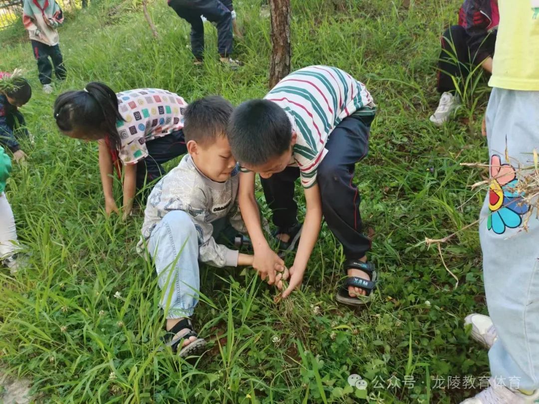 龙江乡弄星完全小学:提升人居环境,共建美丽校园 第2张