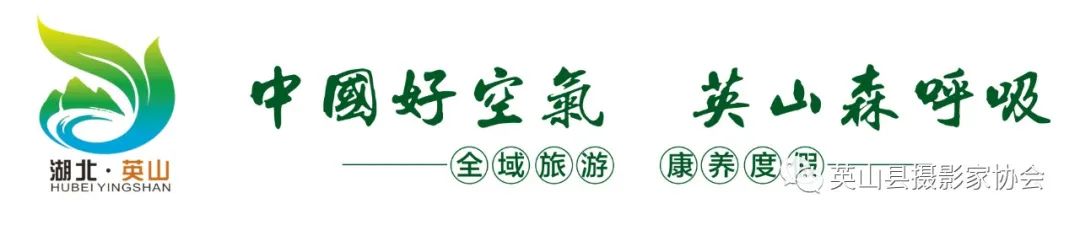 高考纪实--追“证”倒计时 第1张