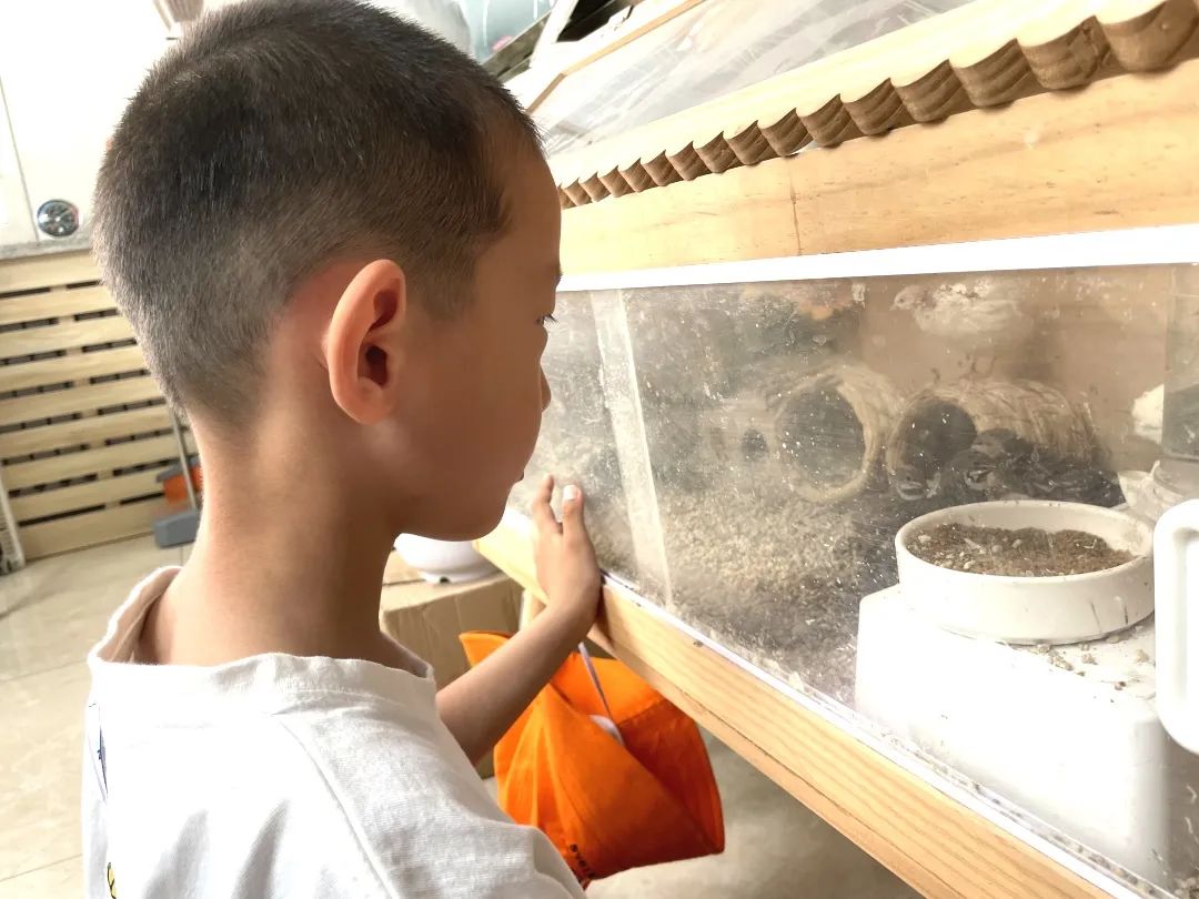 【润童·活动】探秘小学,快乐衔接——开发区教工幼儿园参观小学活动 第29张