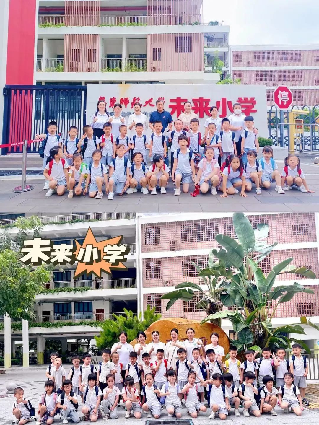 美好初夏  探秘小学 第72张