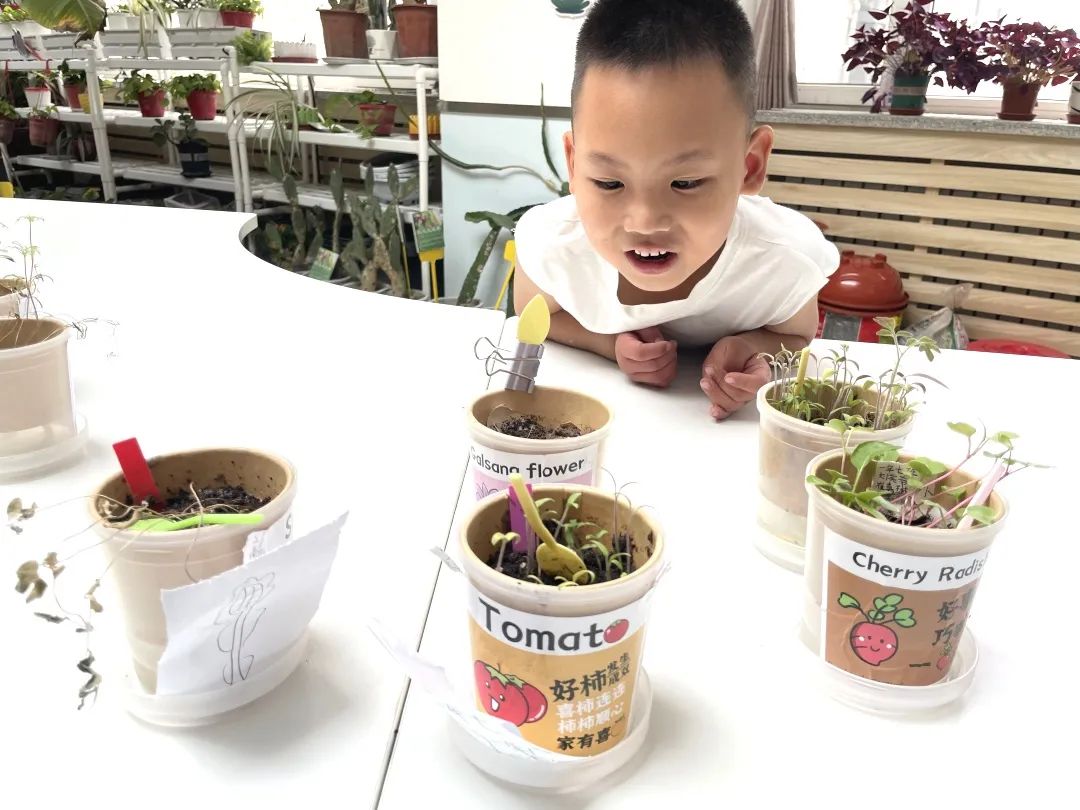 【润童·活动】探秘小学,快乐衔接——开发区教工幼儿园参观小学活动 第33张