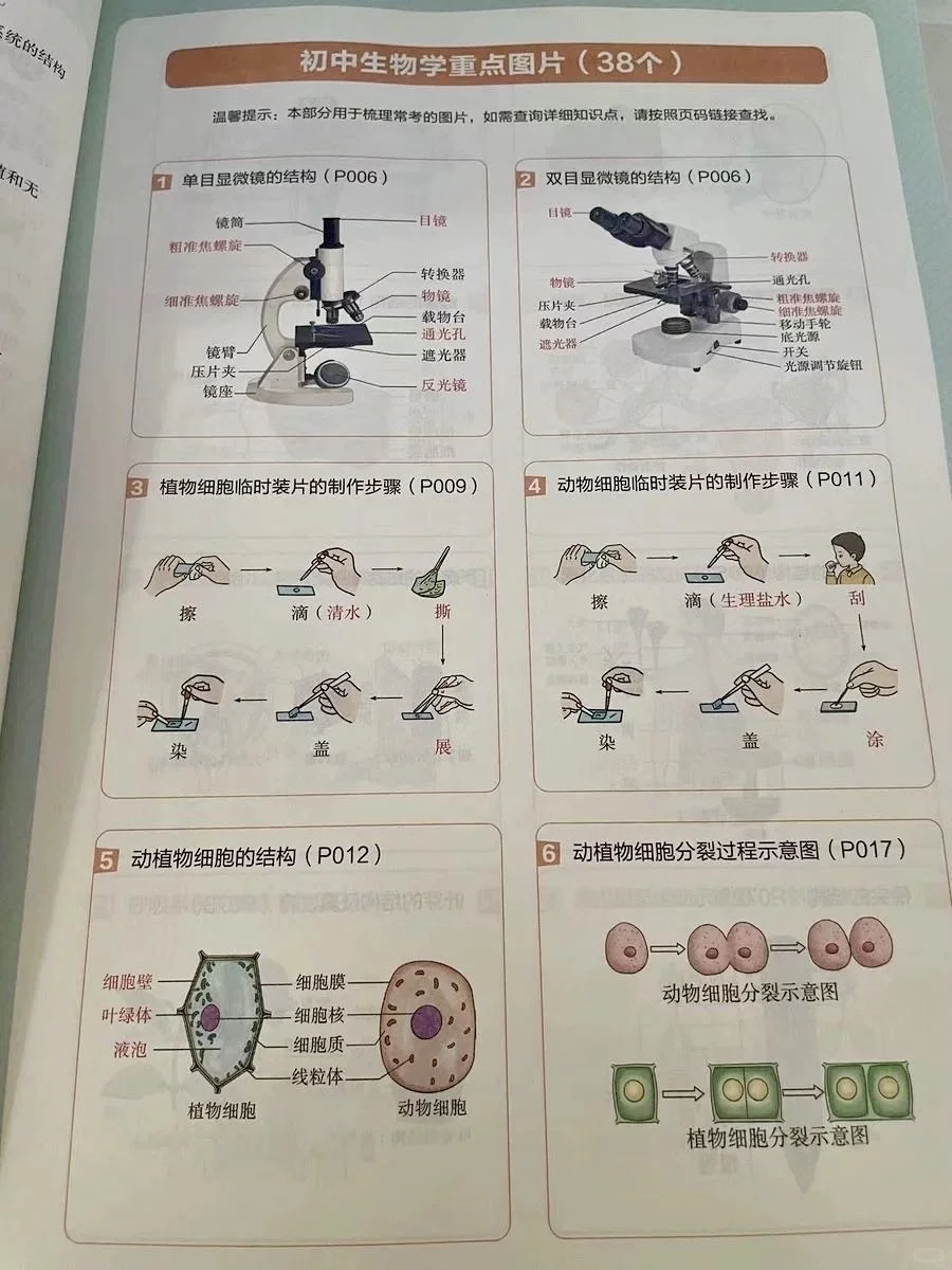 过来人建议：不要浪费孩子初中的时间了！！ 第1张