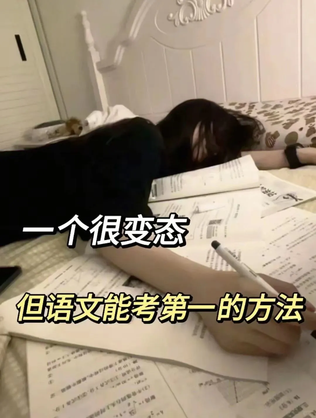 少年当有鸿鹄志 第2张