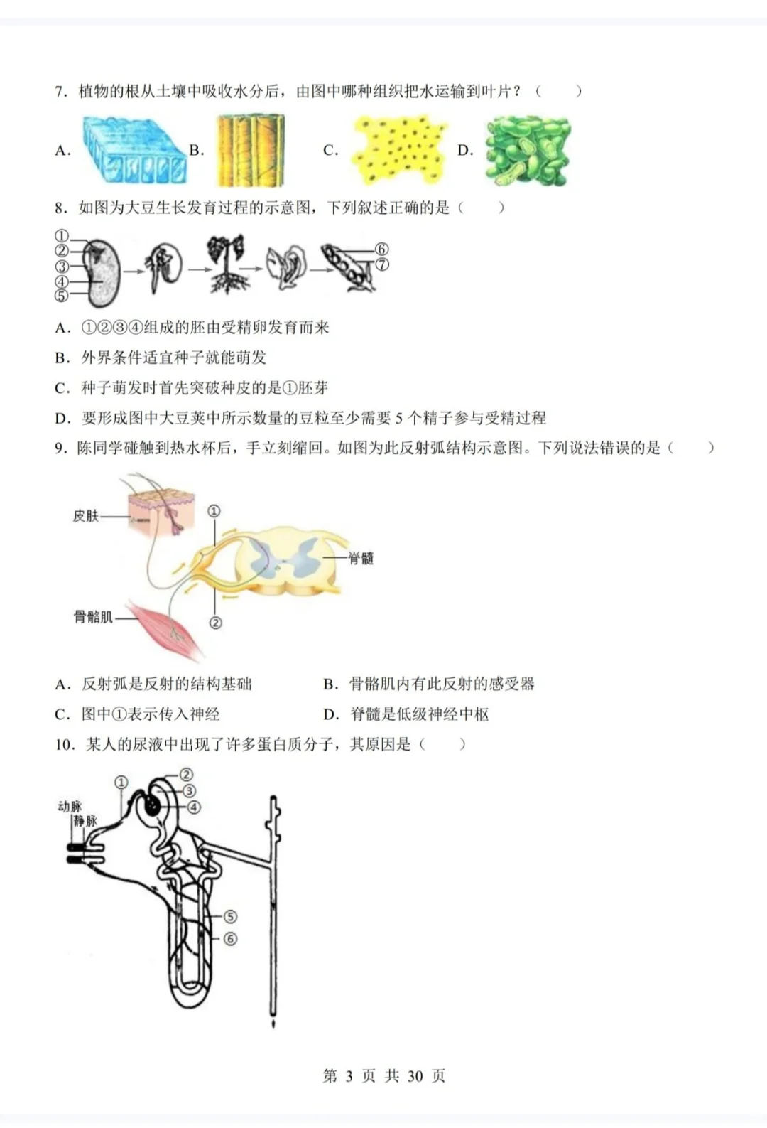 中考生物二模卷 第4张