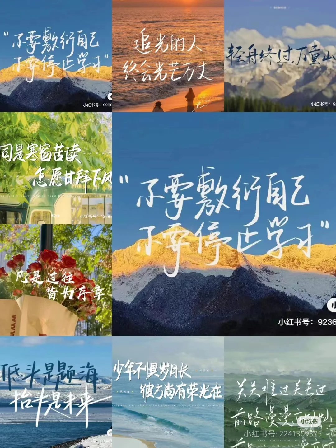 体育中考注意事项，体育中考加油 第5张