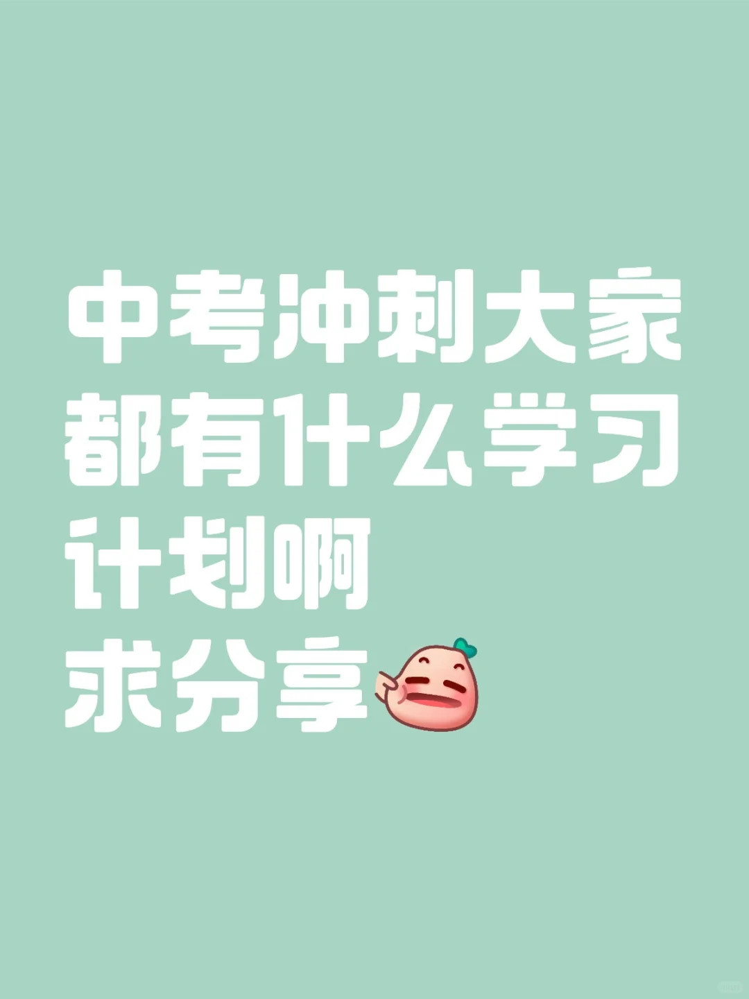 中考冲刺大家都有什么学习计划啊求分享 第1张