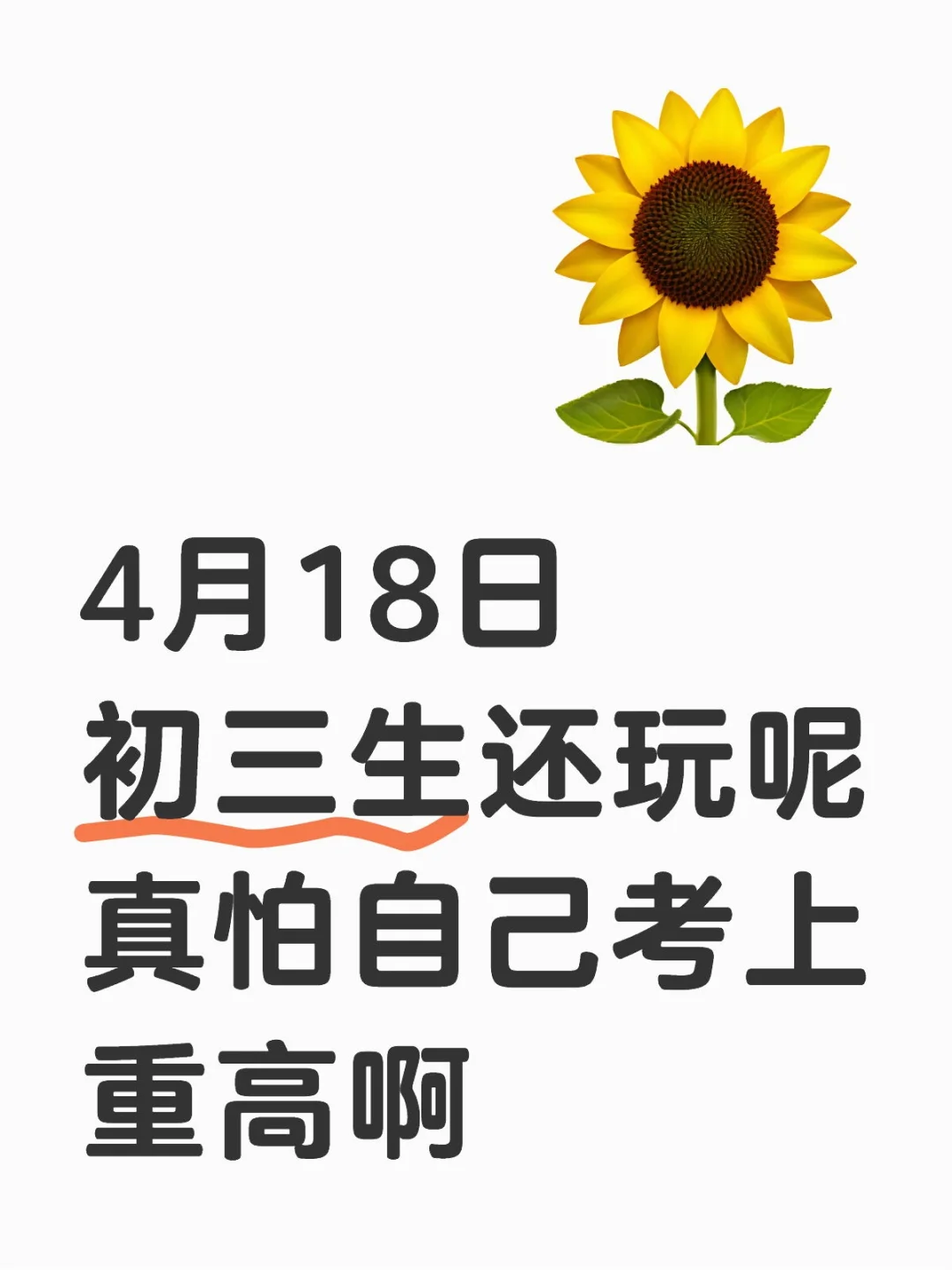 假如我从4月18号开始拼命准备中考 第2张