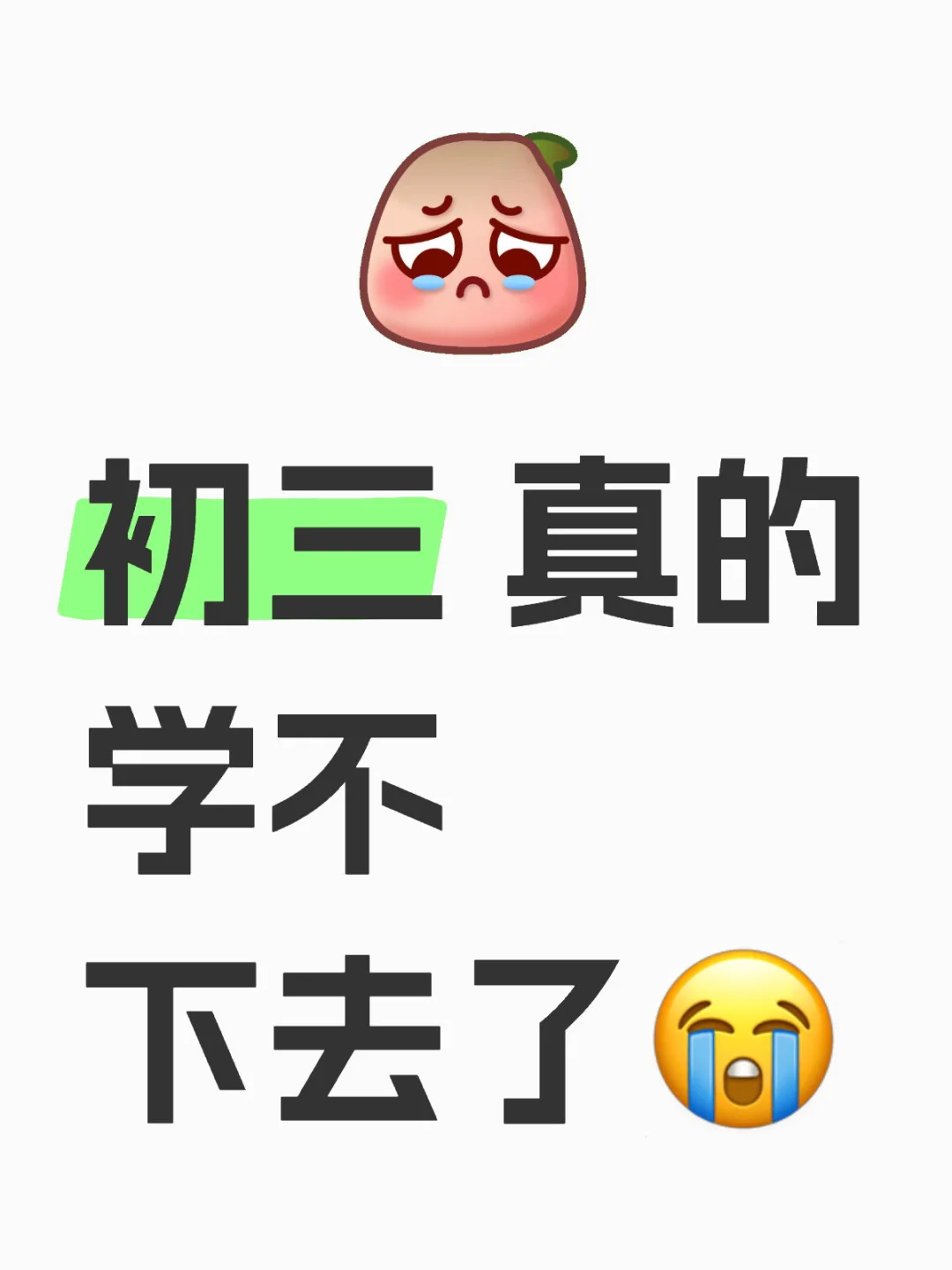 初三 真的学不下去了 救我😭 第1张
