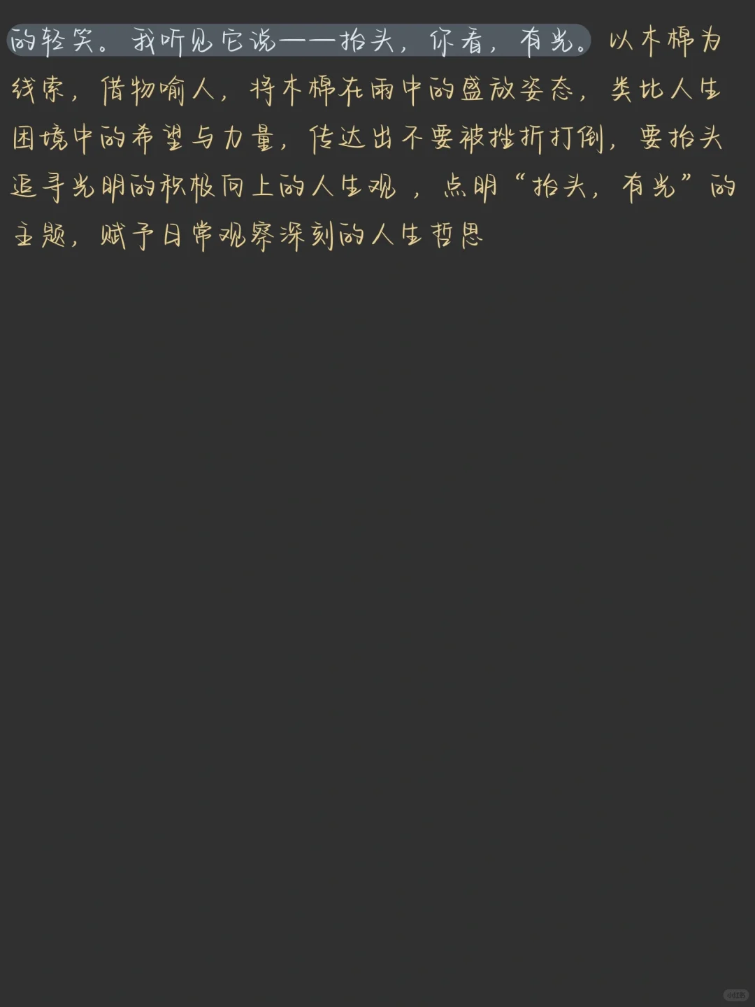 征文分享｜抬头 有光🍂 第1张
