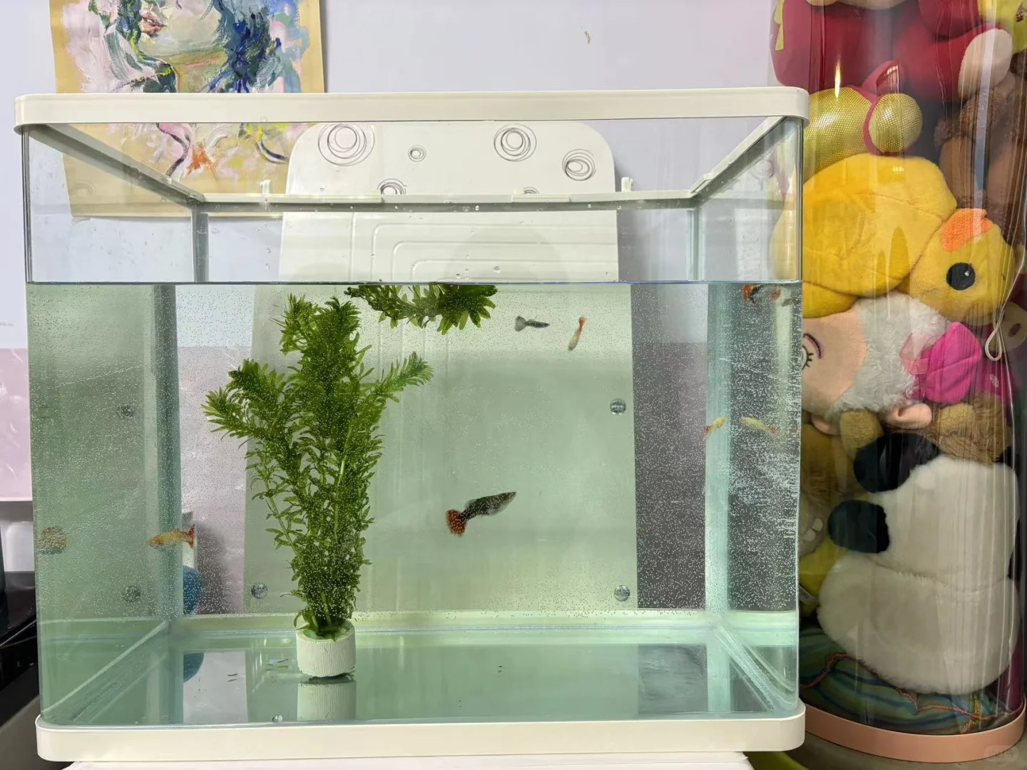 初三|4月已过半 第1张