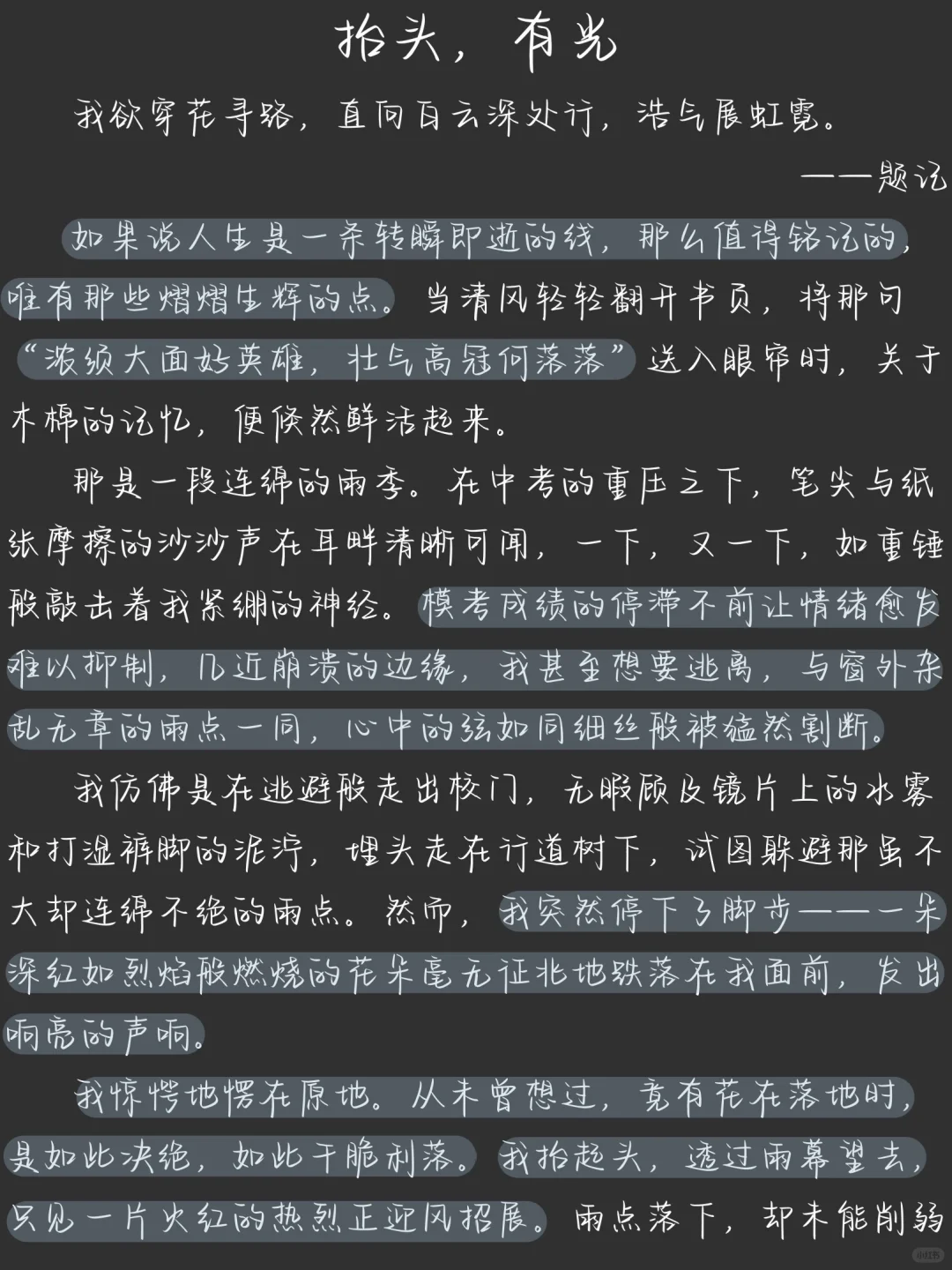 征文分享｜抬头 有光🍂 第2张