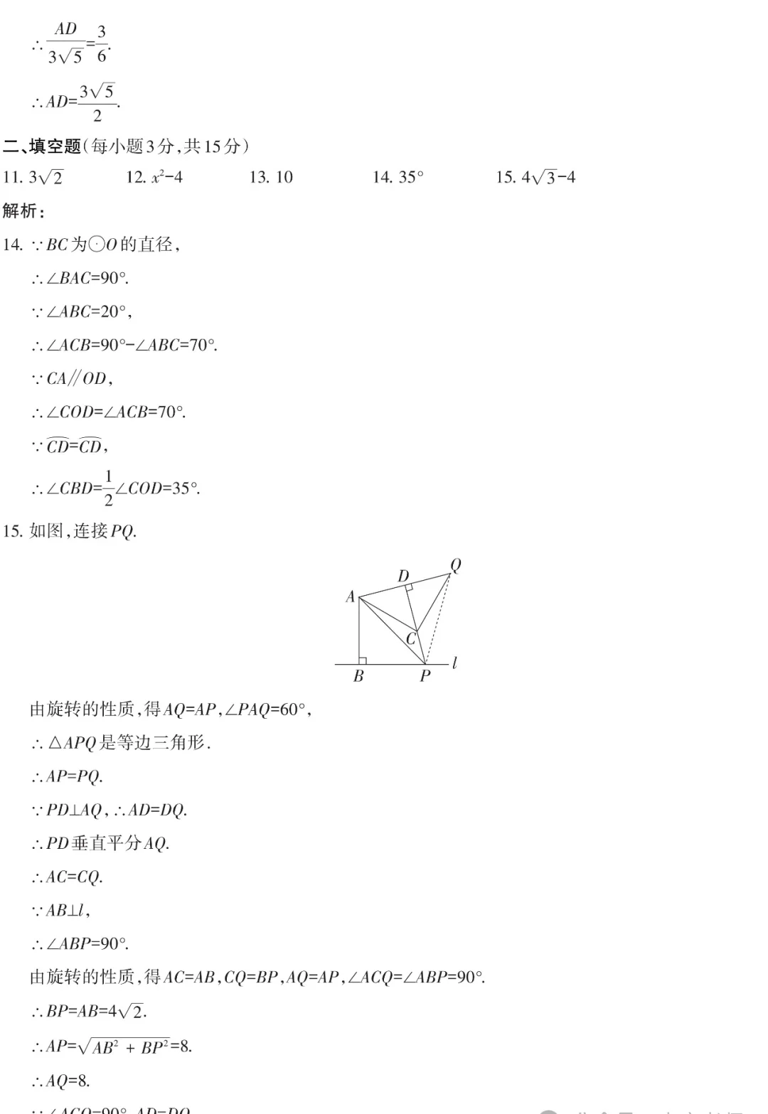 2025中考第一次调研考试——数学（含答案） 第11张
