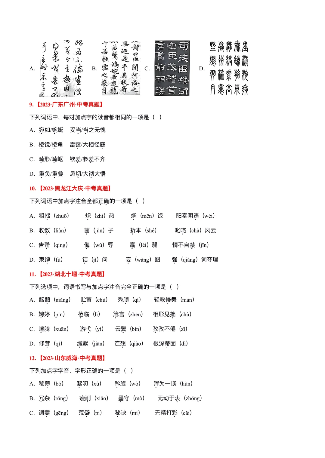 2025中考必刷｜语文真题专项训练卷 第6张