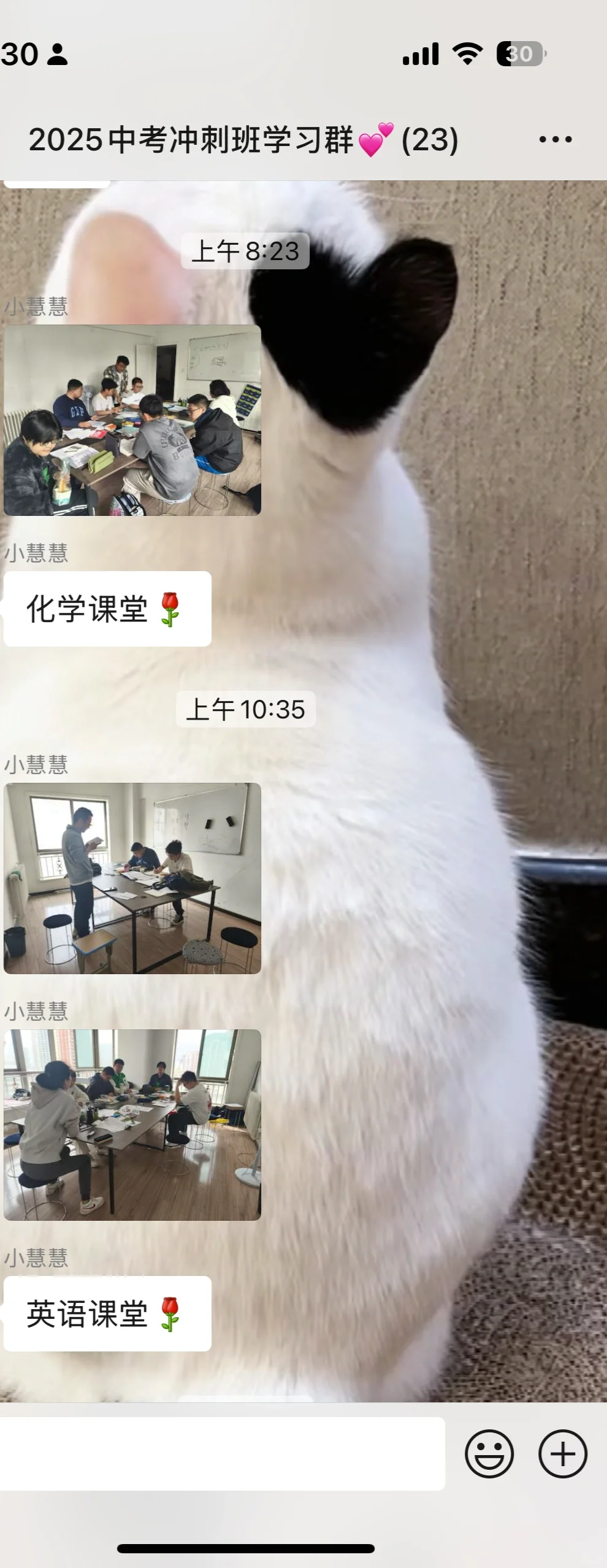 真的有那么拼吗？！ 第5张