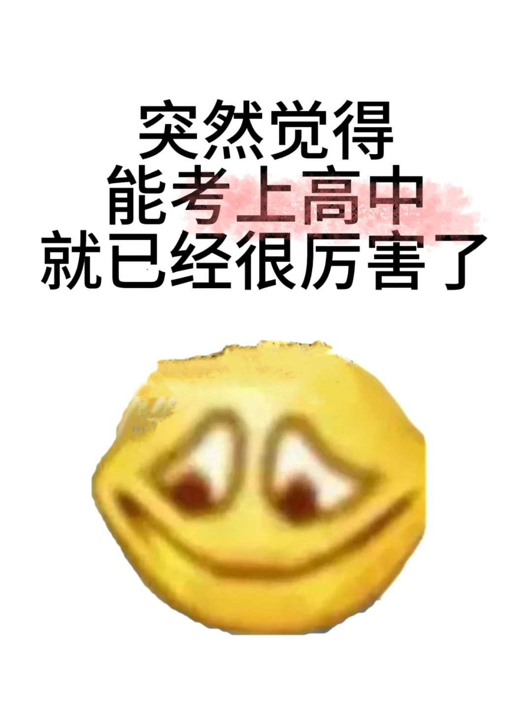 突然觉得能考上高中就很厉害了 第1张 突然觉得能考上高中就很厉害了 第1张