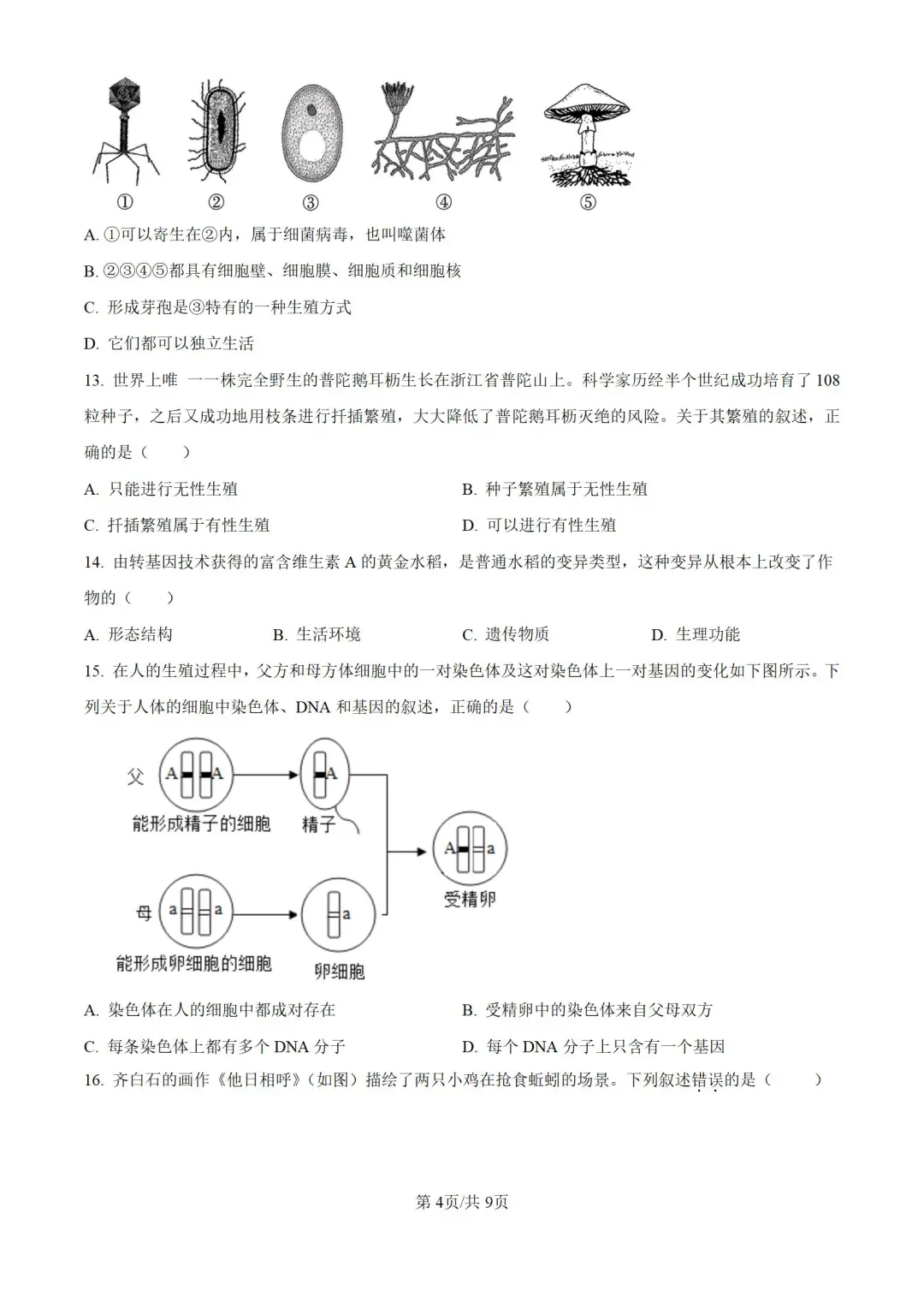 2024年河北邯郸市八年级中考二模生物试题 第6张