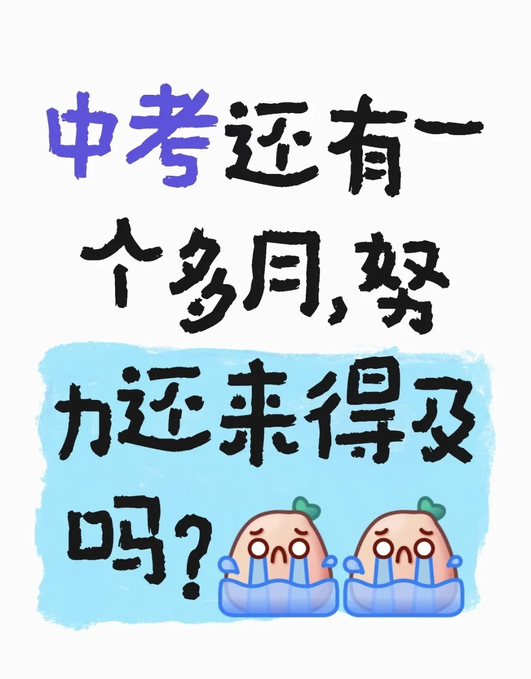 中考最后一个月想提五十分要多拼命 第1张