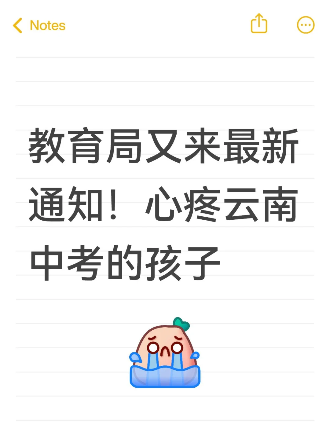 教育局又来最新通知！心疼云南中考的孩子 第1张