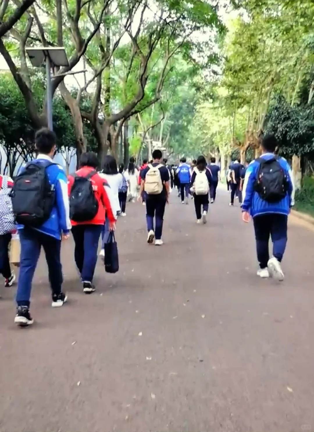 中考送考，这四句话千万别说 第1张