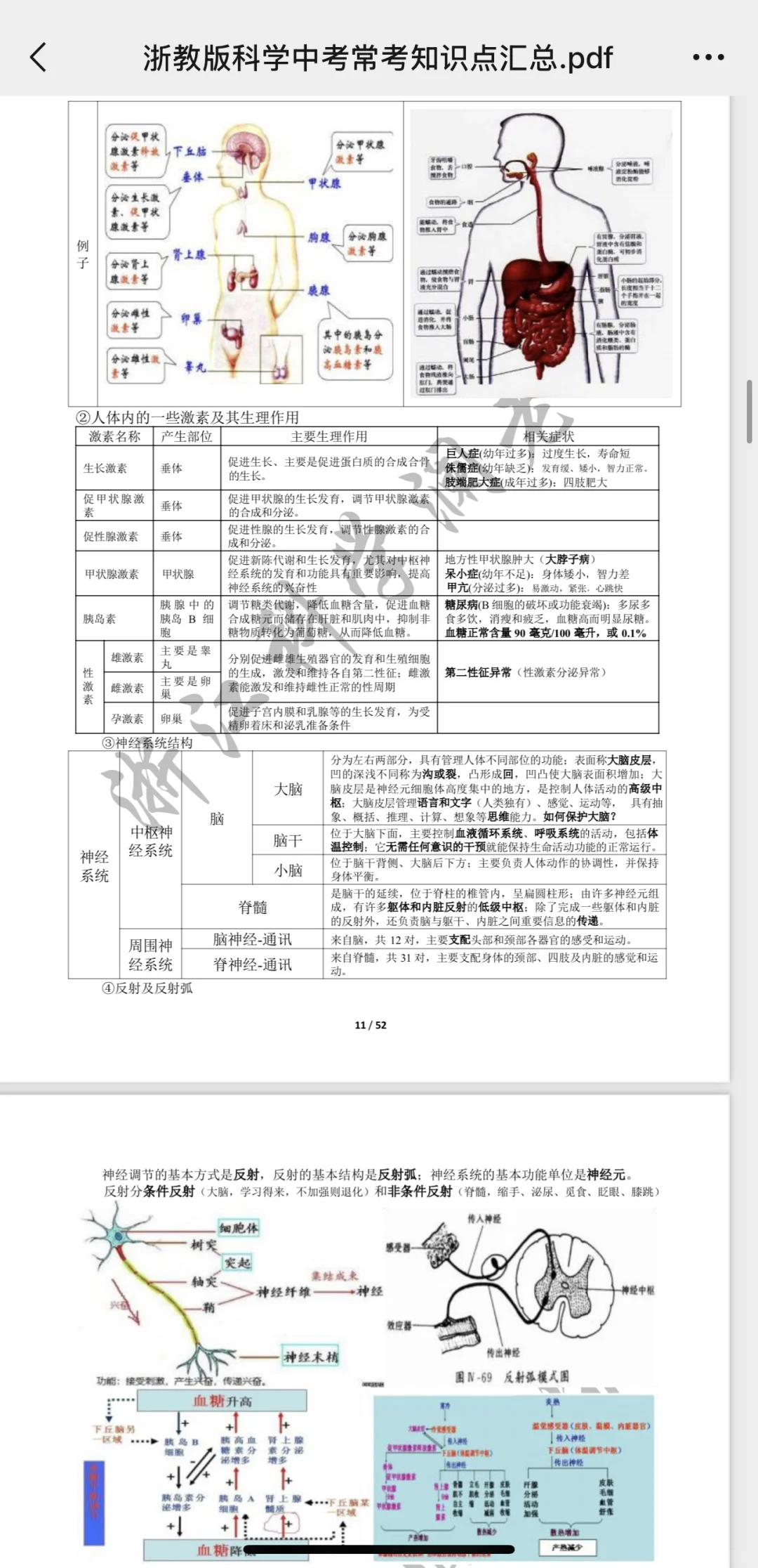 浙江中考科学最全提纲（52页） 第4张
