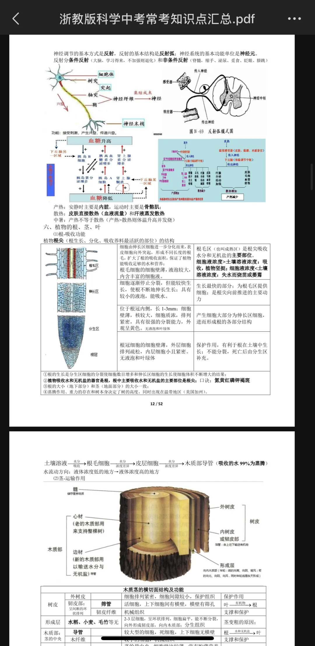 浙江中考科学最全提纲（52页） 第1张