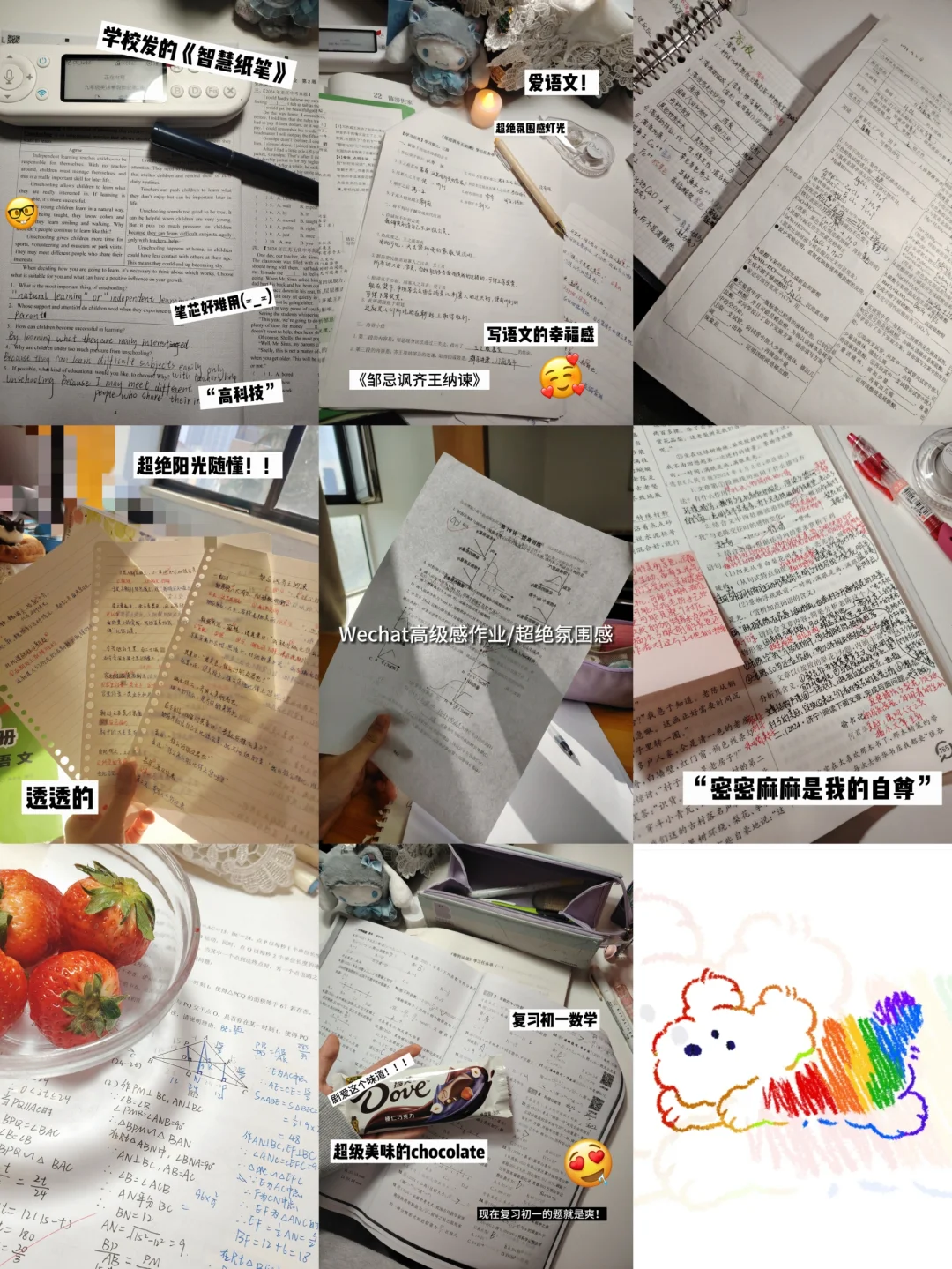 25中考|密密麻麻是我的自尊🪶 第1张