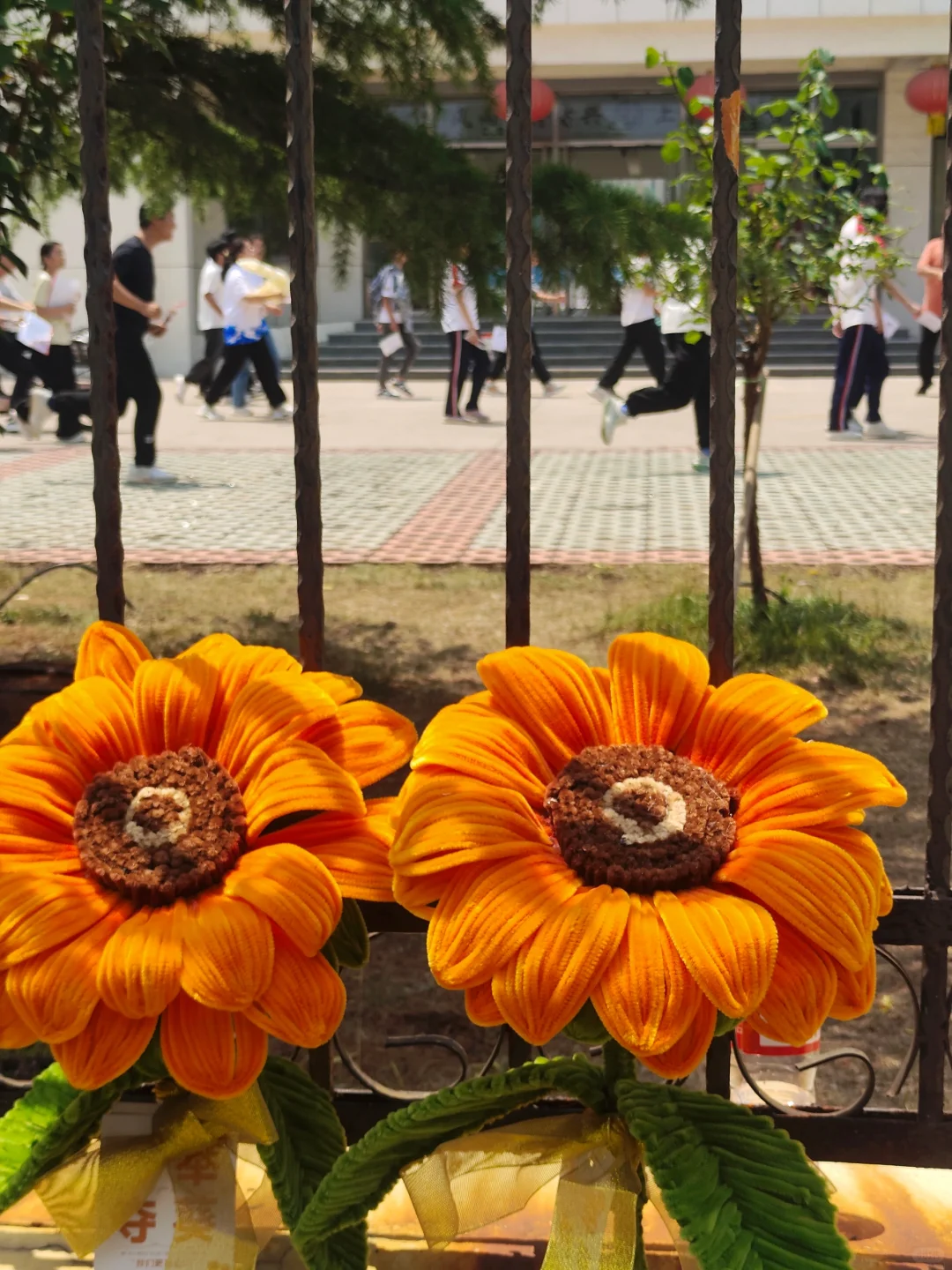 心向骄阳 万丈光芒 第3张