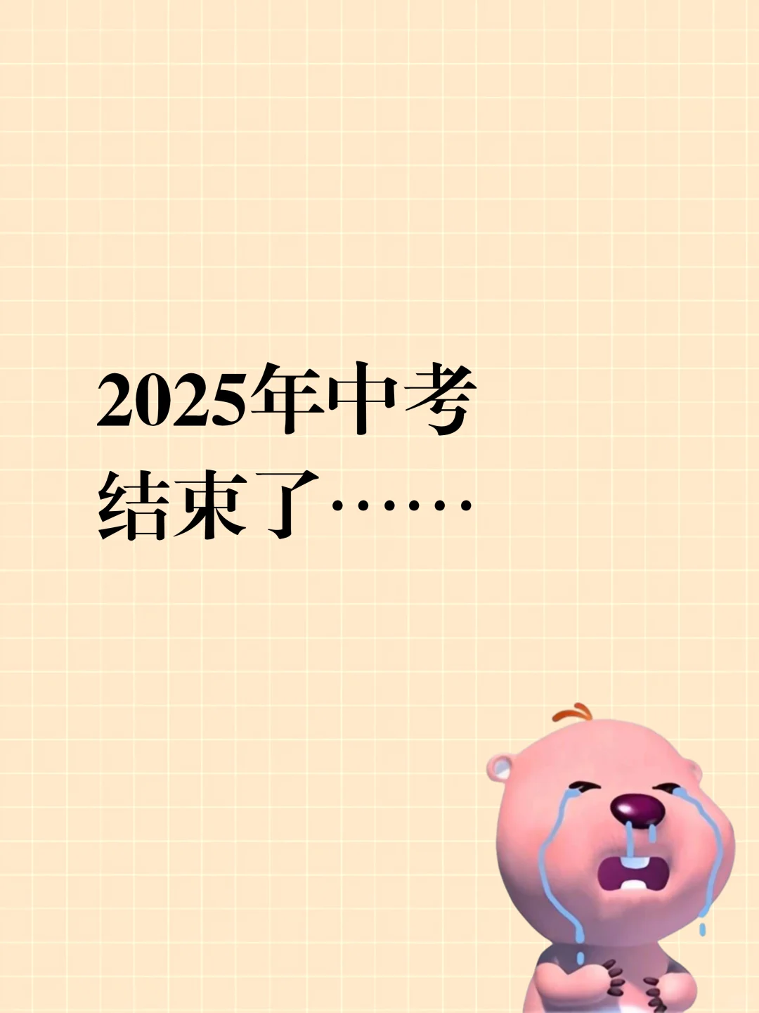 中考结束后，你最想做的事情是什么呢 第1张