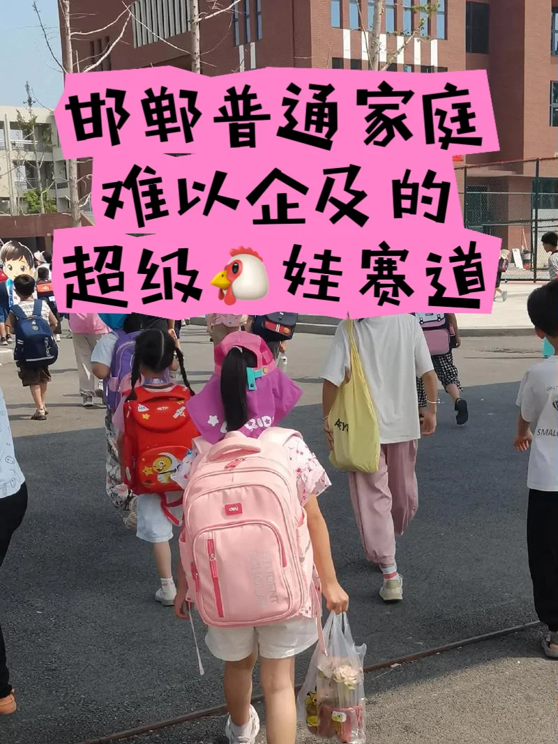 邯郸教育⭕很多人接触不到的高端🐔娃 第1张