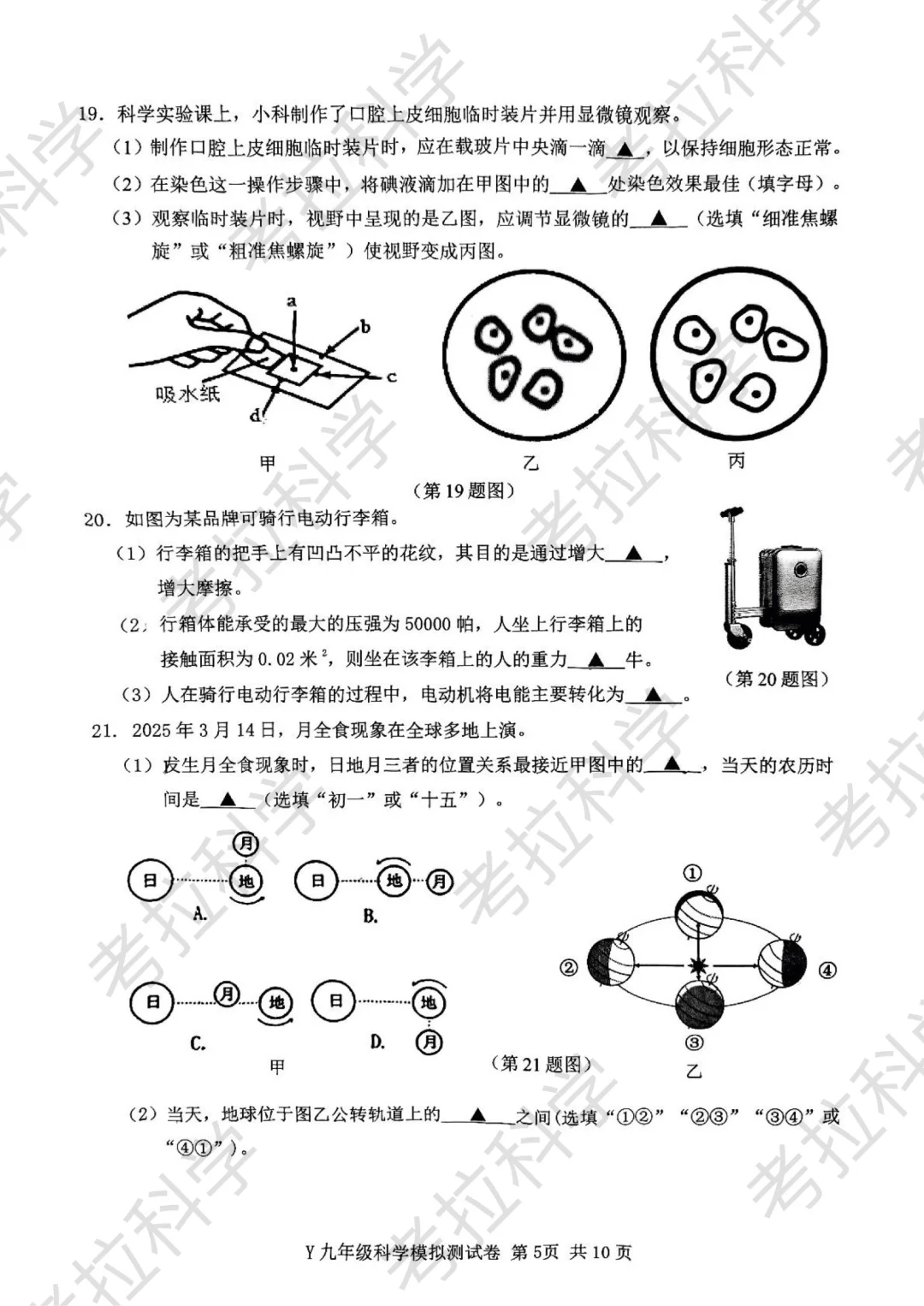 25年5月玉环市中考二模（科学） 第7张
