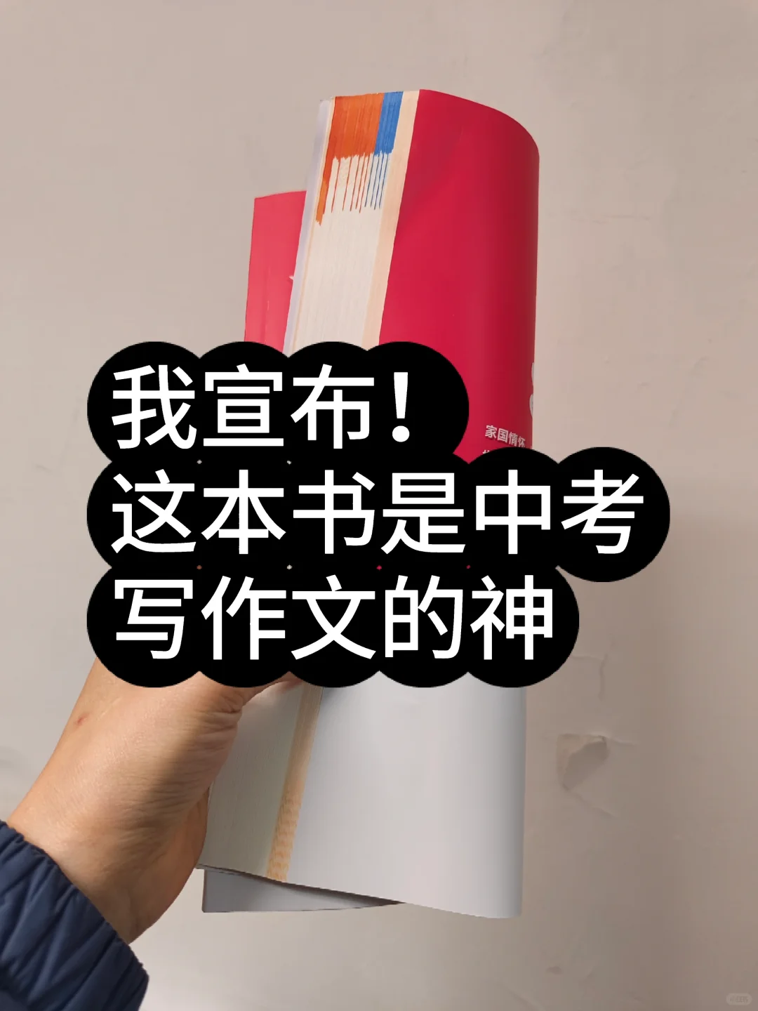 我宣布！这本书是中考写作文的神 第2张