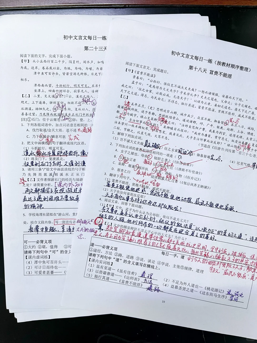 初中文言文这样练，我可太会了！ 第2张