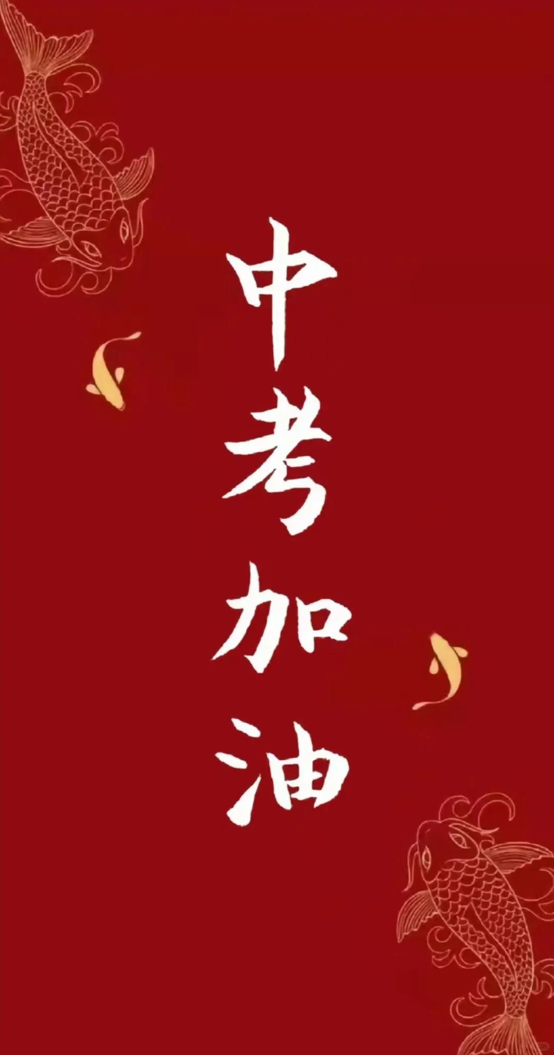 决战中考 第3张