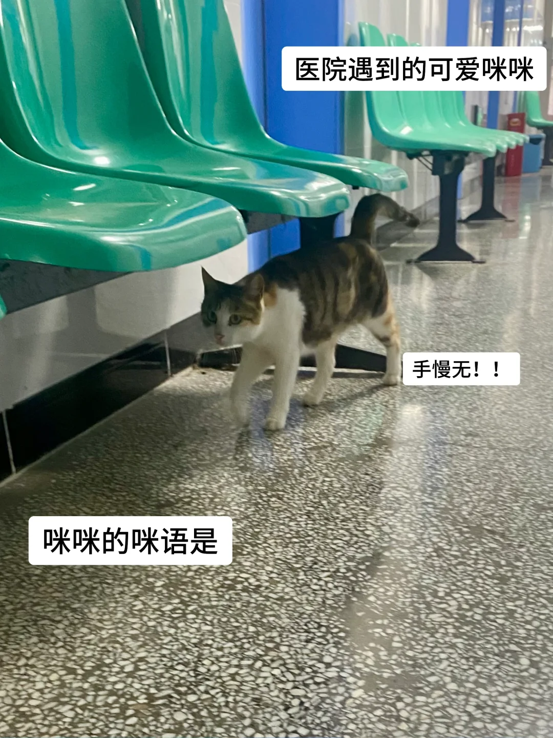 重生之我在备战中考。 第6张