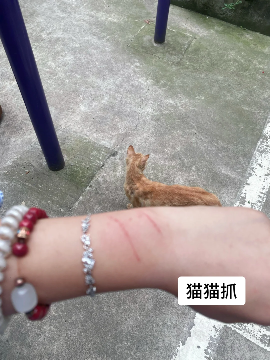 重生之我在备战中考。 第4张