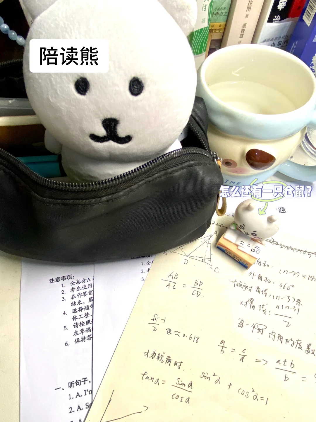 重生之我在备战中考。 第5张