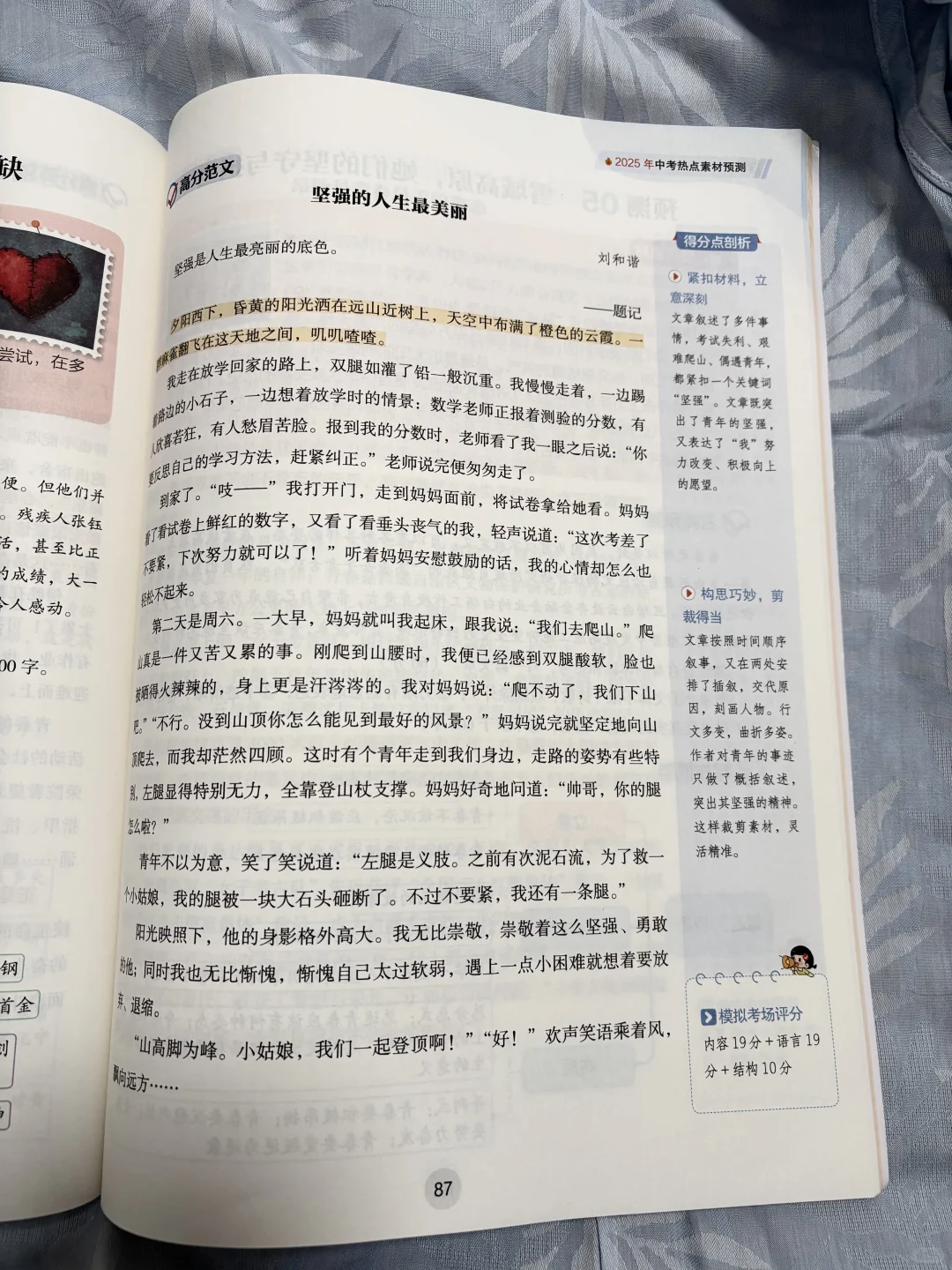 2025中考语文作文冲刺必备书来啦！ 第17张