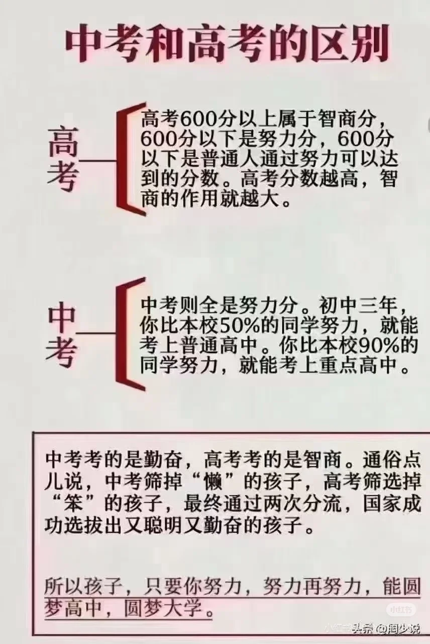 中高考 第1张