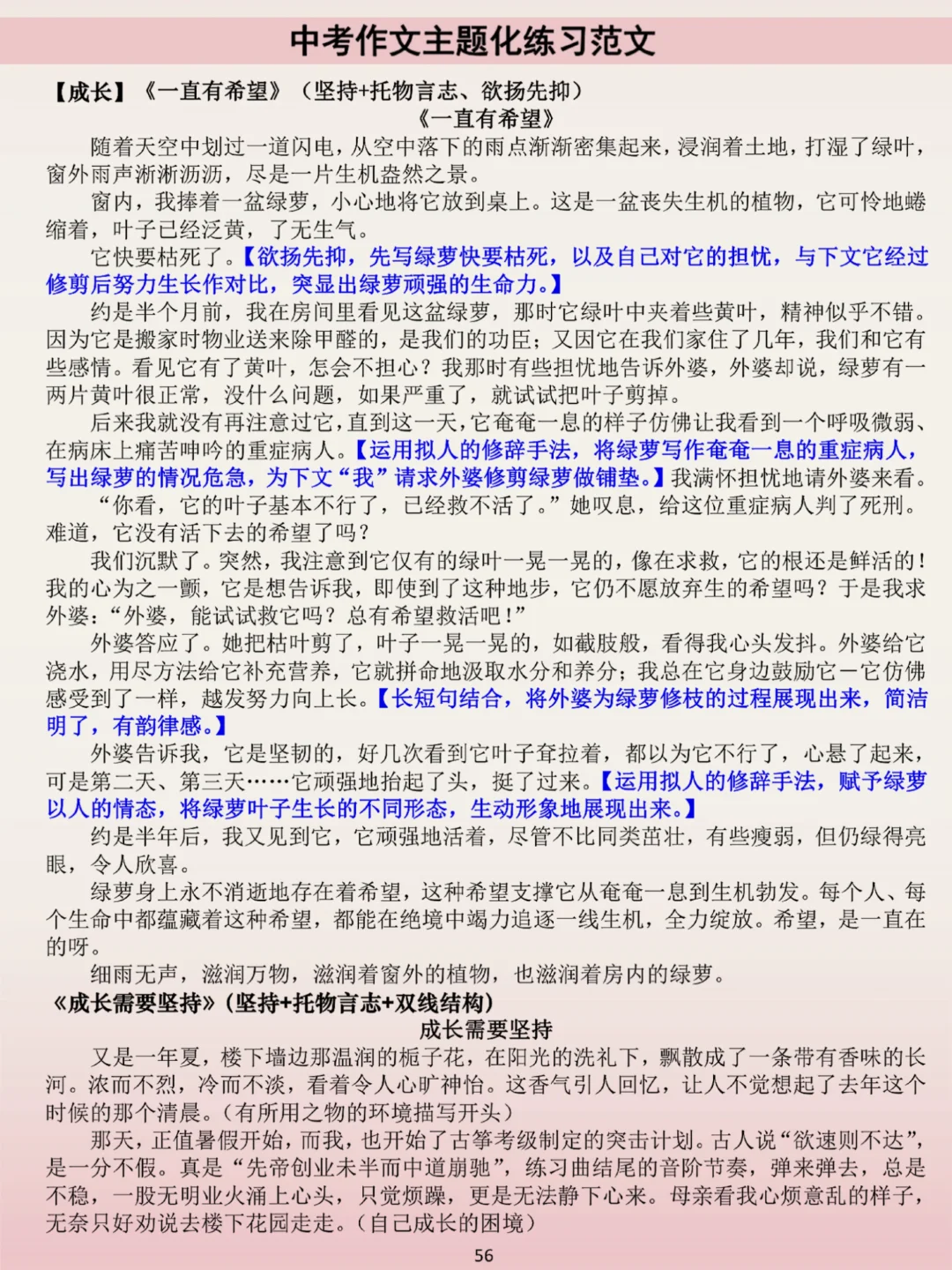 中考作文八大热门主题-写作模版和优秀范文 第8张