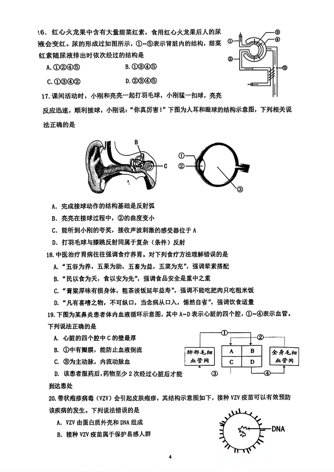 邯郸模拟 第5张