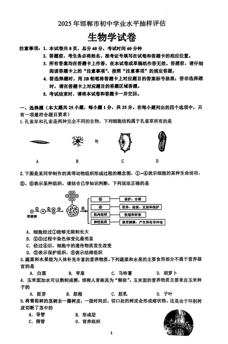 邯郸模拟 第2张