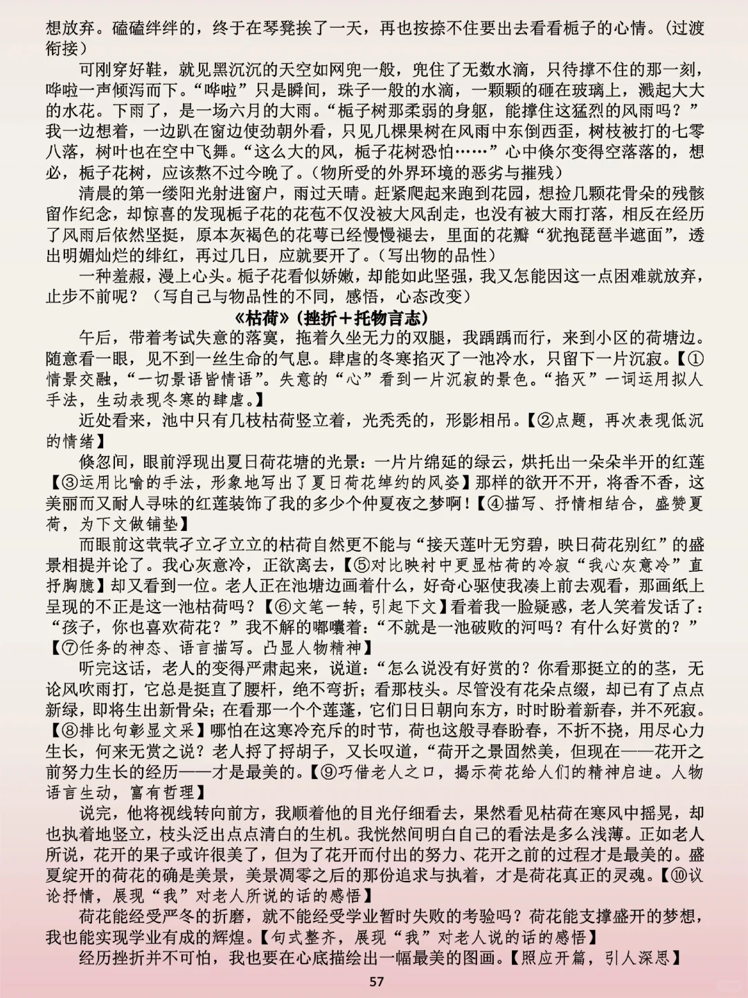 中考作文八大热门主题-写作模版和优秀范文 第1张