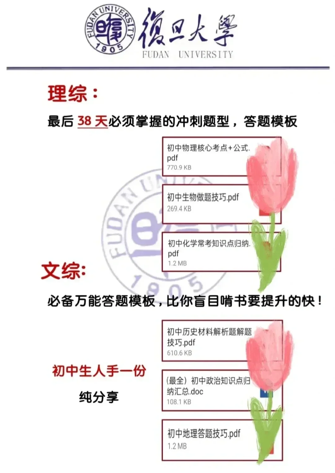 假如从5月28号开始拼命努力中考 第1张