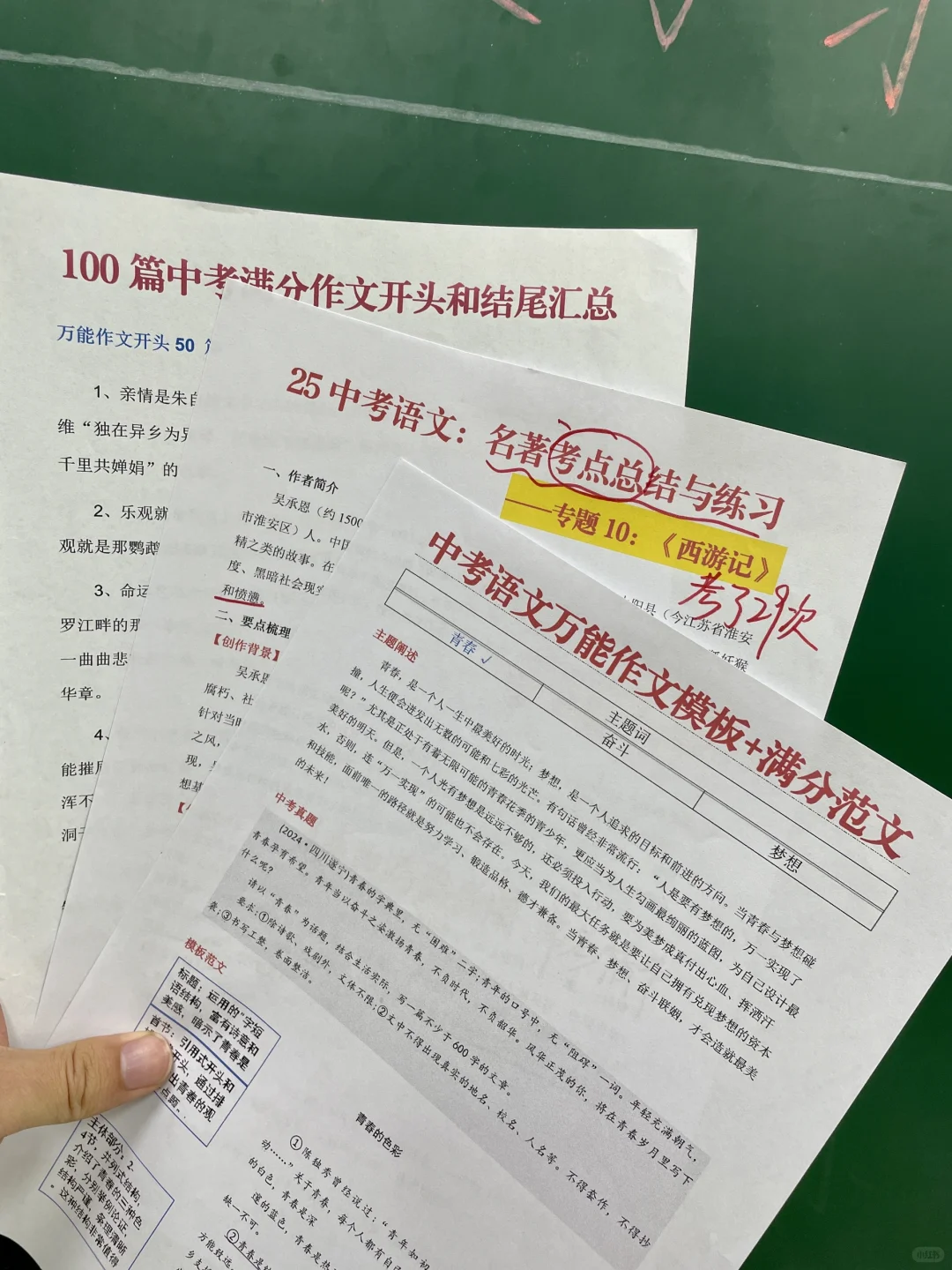 火箭班统一发的，中考语文必考点考前自查表 第1张