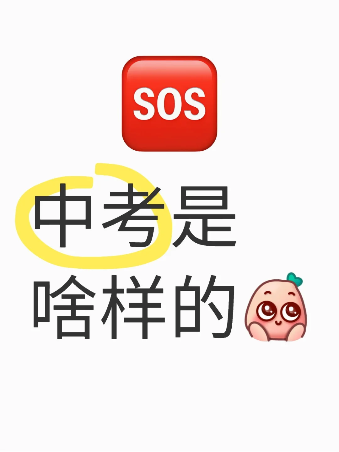 过来人讲讲 第1张