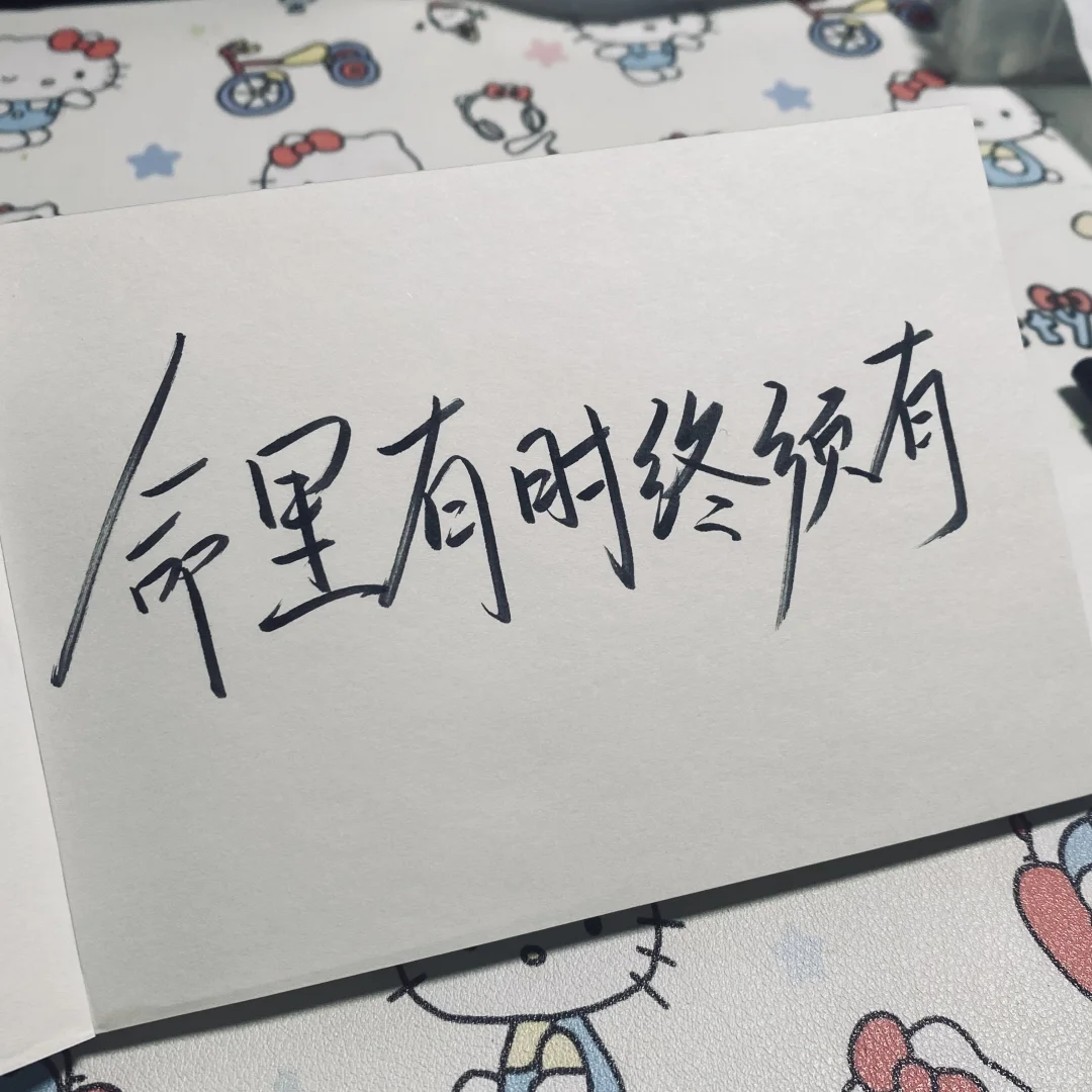 📚 九年磨一剑，今朝试锋芒！ 第7张