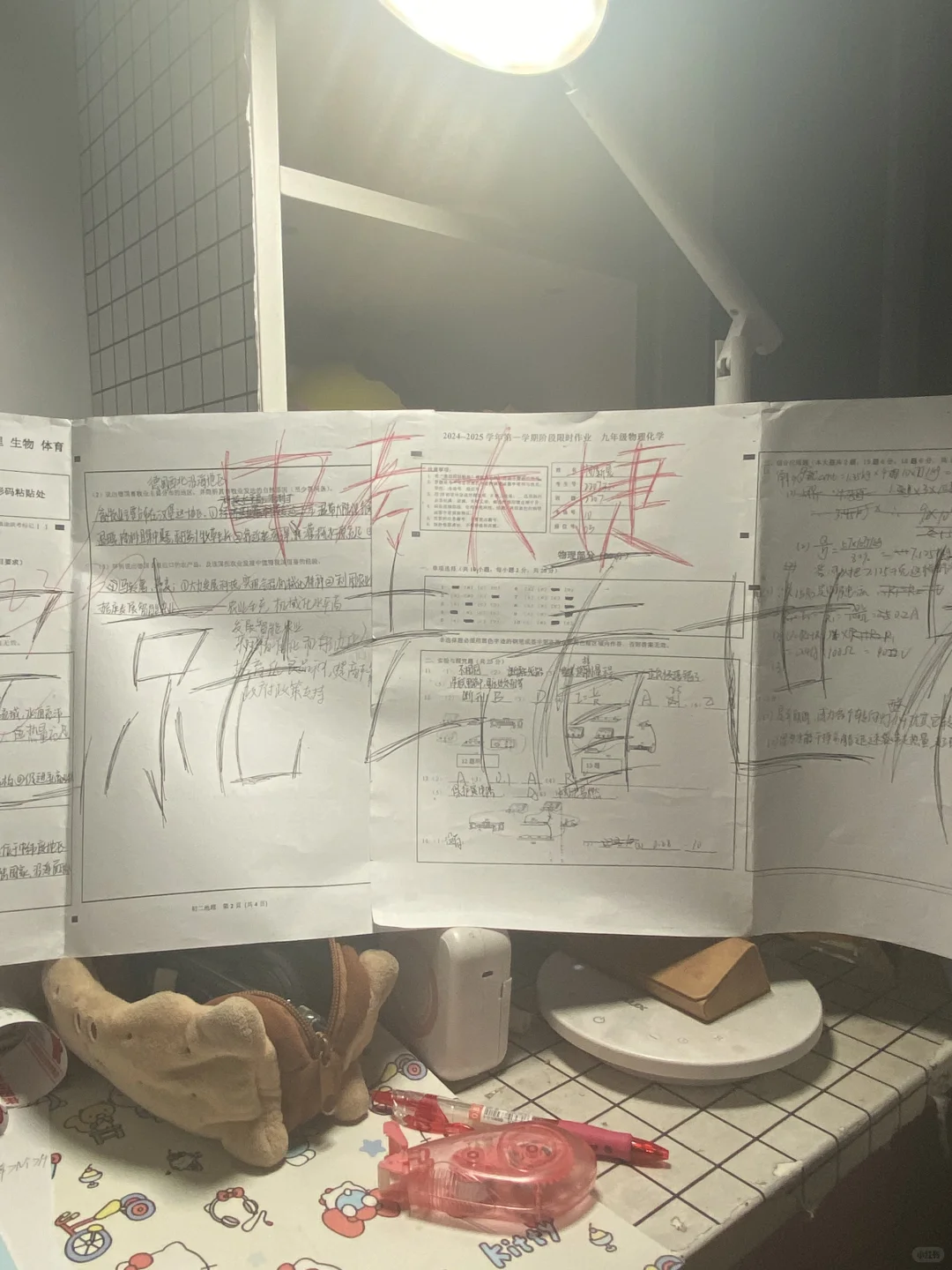 📚 九年磨一剑，今朝试锋芒！ 第3张